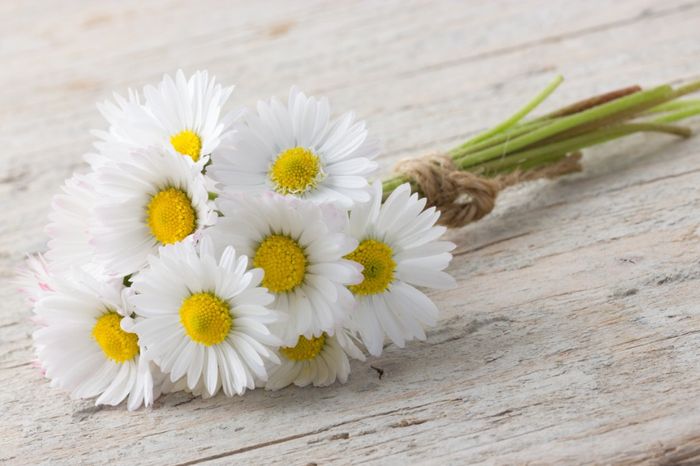 I fiori più economici per le vostre nozze 2