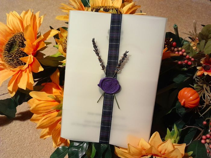 Come sono le vostre partecipazioni? 3