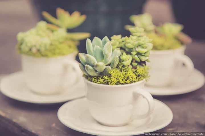 Piantine in vaso da donare agli invitati invece dei fiori recisi