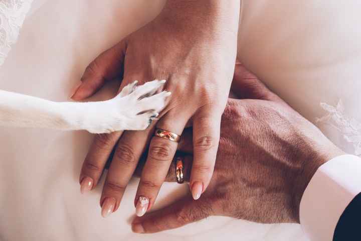 Come includere i vostri amici a 4 zampe alle nozze - 4