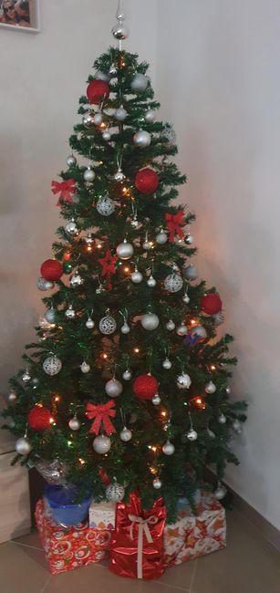 Avete mai fatto l'albero insieme? - 1
