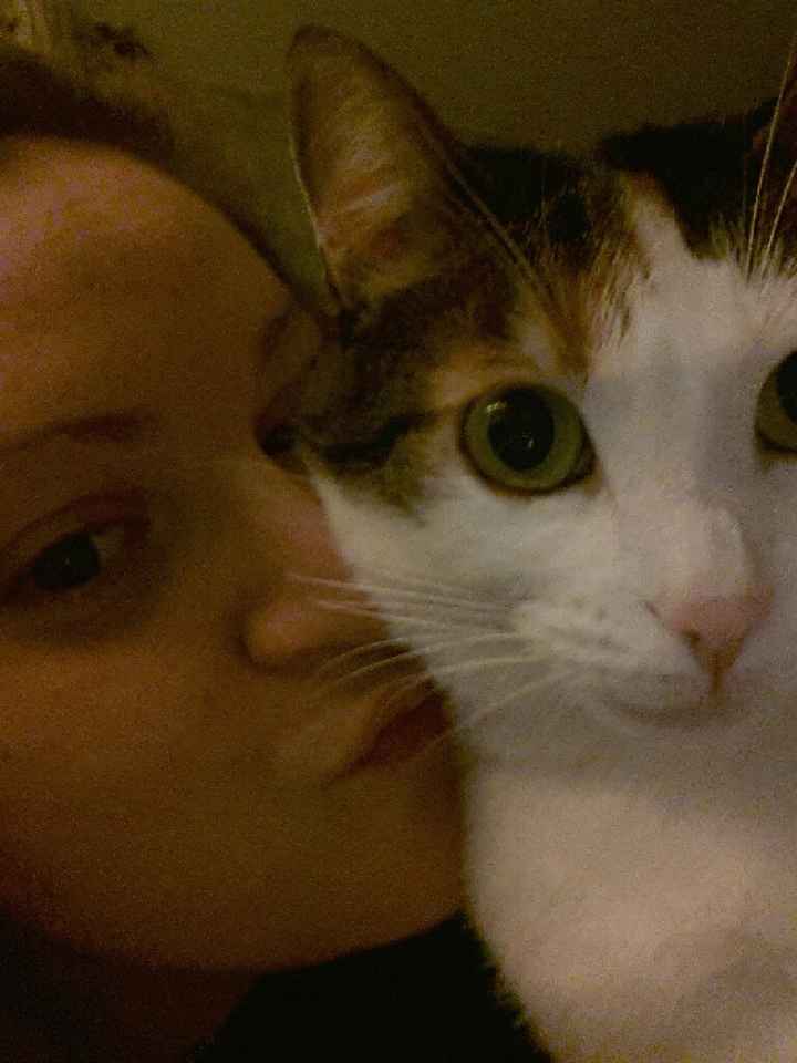 Il nostro piccolino - 2