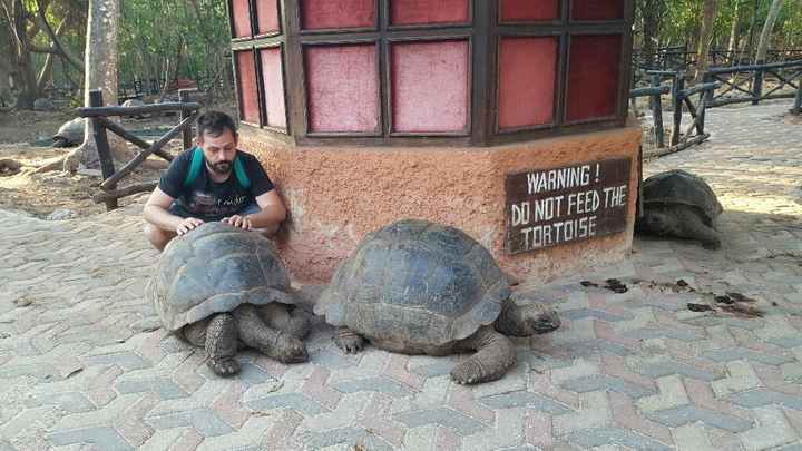 Zanzibar...il nostro viaggio - 5
