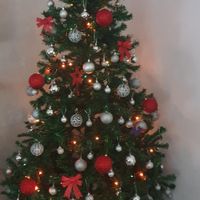 Avete mai fatto l'albero insieme? - 1