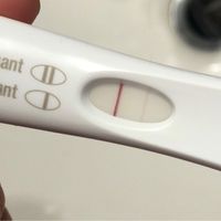 Test gravidanza confidelle - 1