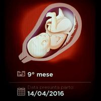 Countdown gravidanza - 1