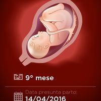 Countdown gravidanza - 1