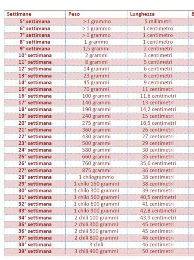 Mammine di febbraio 2020 - 1