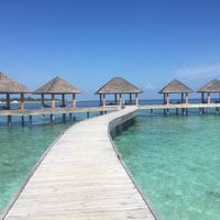 Viaggio di Nozze - 3