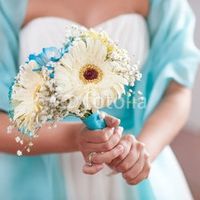 Gerbere bianche con azzurro