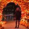 Ilaria