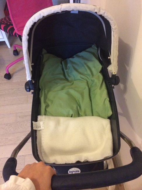 Trio inglesina o Peg perego Book 51? 1