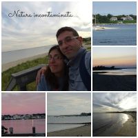 Cape cod