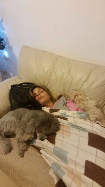 Le foto con i nostri pelosoni - 1