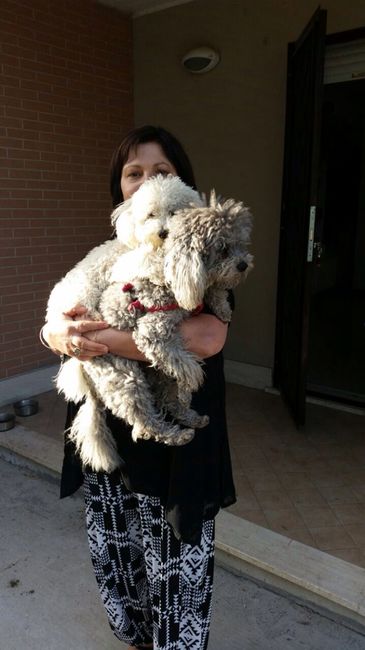 Il mio terzo uomo è bellissimo! - 1