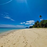 Polinesia o isole Fiji - 1