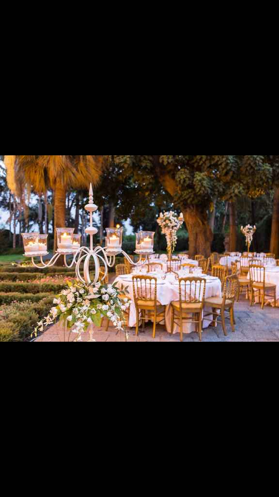 Sedie ricevimento - 1