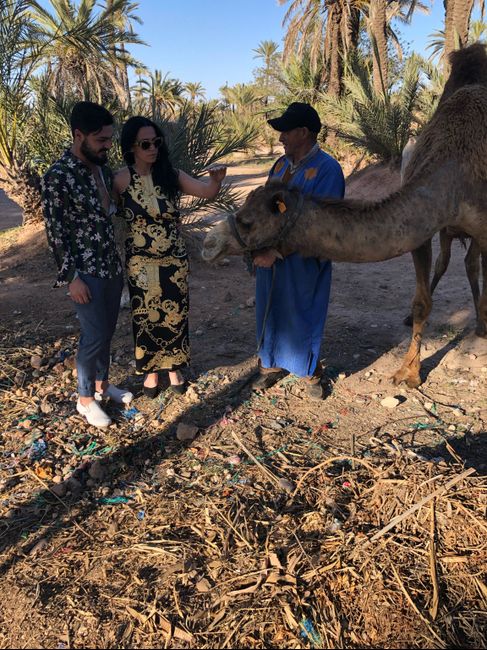 Anteprima a Marrakech - 5