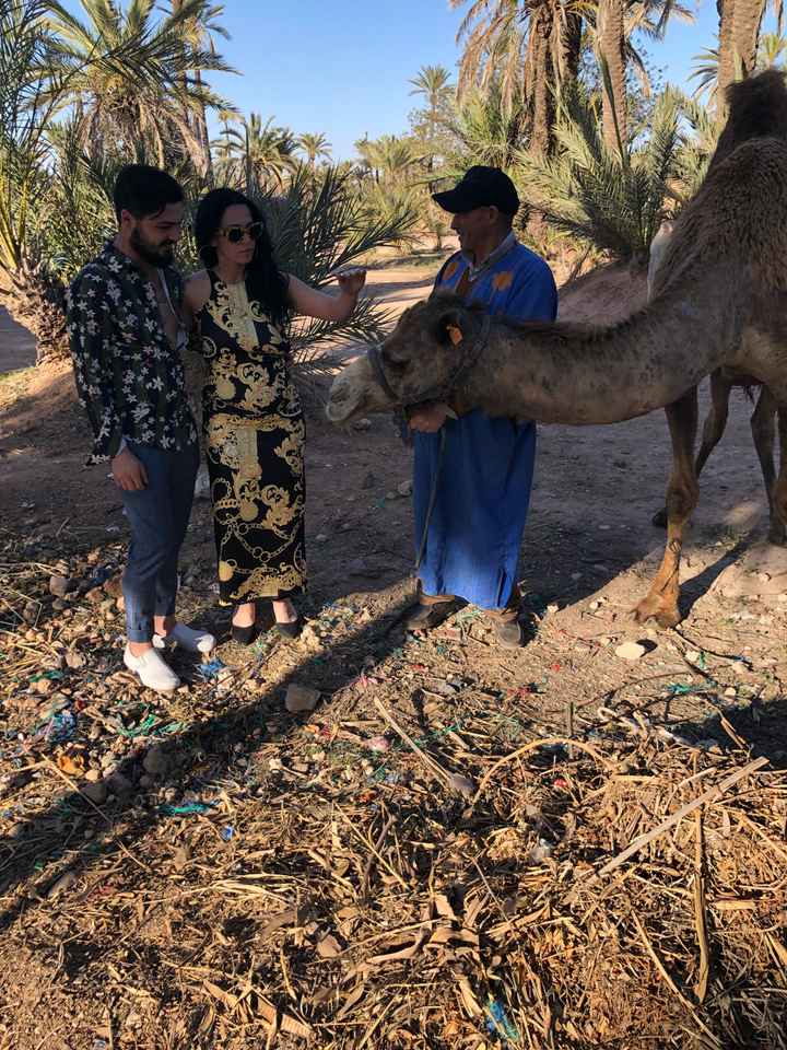 Anteprima a Marrakech - 5