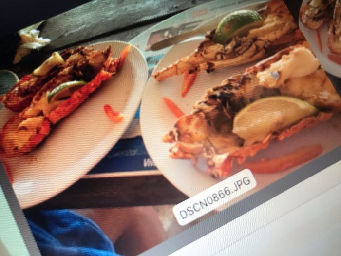 Viaggio di nozze - 2