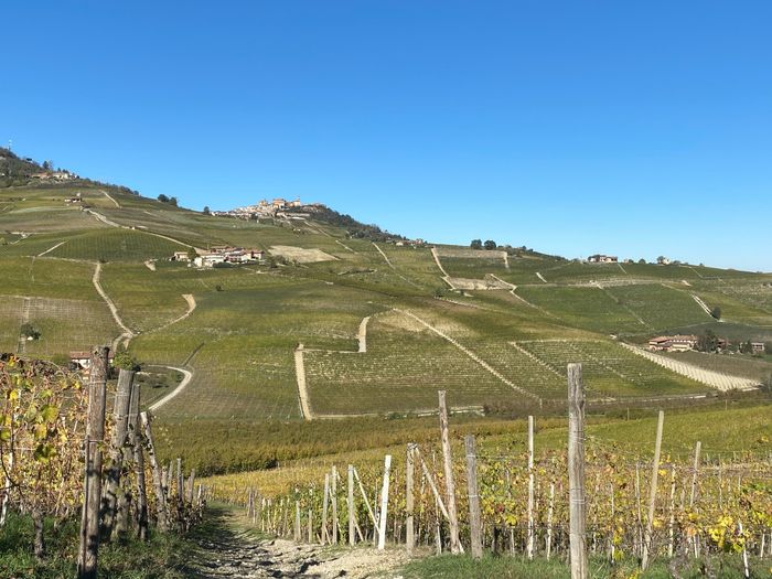 Gita a Barolo la città del vino🍇 - 5