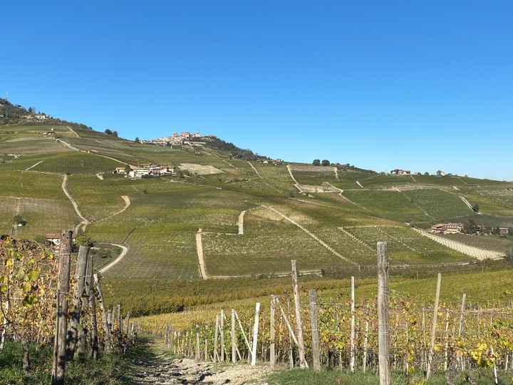 Gita a Barolo la città del vino🍇 - 5
