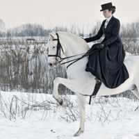 Sposa a cavallo - 1