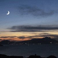 al chiar di luna la mia splendida struttura