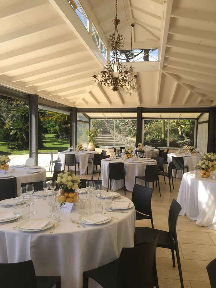 Aiuto sedie! 😆 - 1