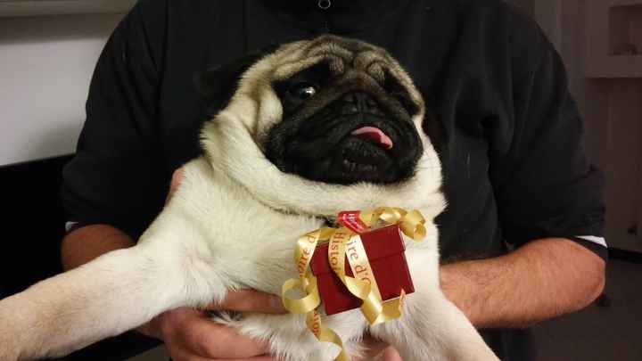 Proposta di matrimonio del vostro fm - 1