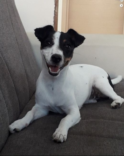 Foto con amici pelosetti 🐾 quante di voi? 10