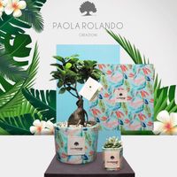 Bomboniere, parere sincero - 1