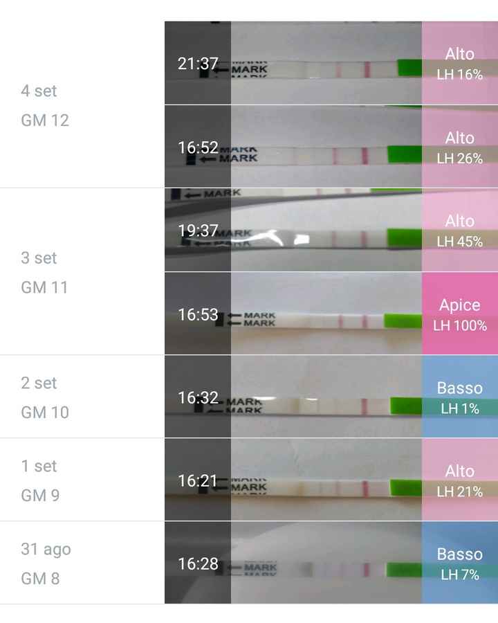 Chi non le aspetta per settembre 2020 🍀🐞🤞🌈🌻🎁🏖️🌞💝 - 1