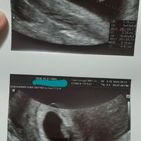 ❤🧡💛💚💙💜 pma 2020, siamo cariche? 💪🏻 - 1