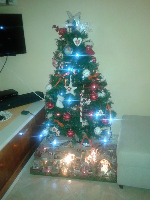 Il vostro albero di Natale! - 1