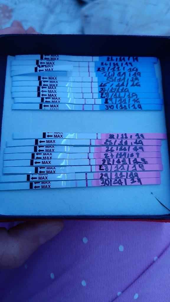 Ce l ho fatta??? - 1