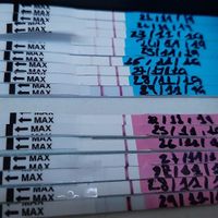 Un sogno che diventa realtà! - 1