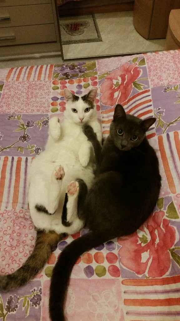 Vi presento nina! - 1