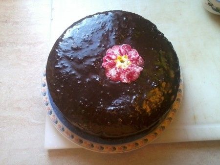 sacher