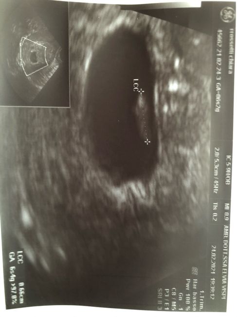 Future Mamme Ottobre 2021 1