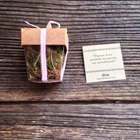 Semini per bomboniere... aiuto cercasi consigli...😫😕 - 2