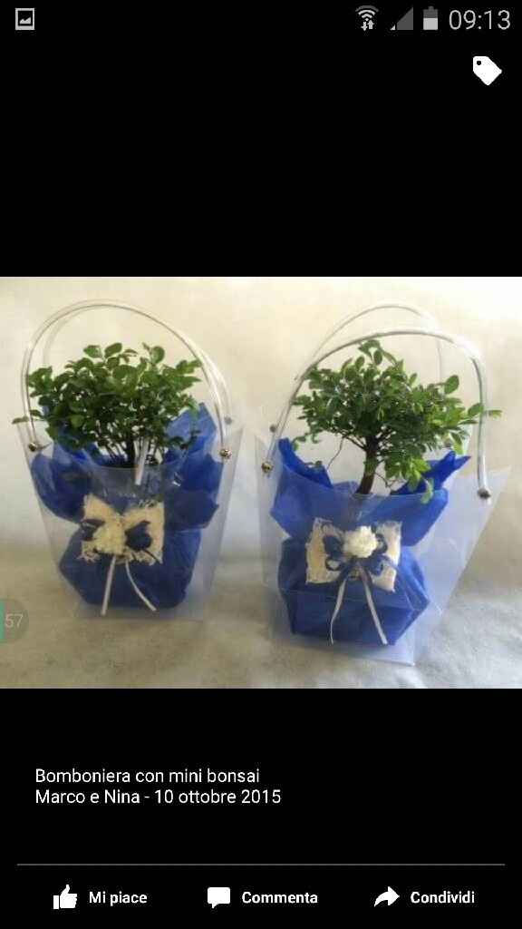 Bomboniere bonsai - 1