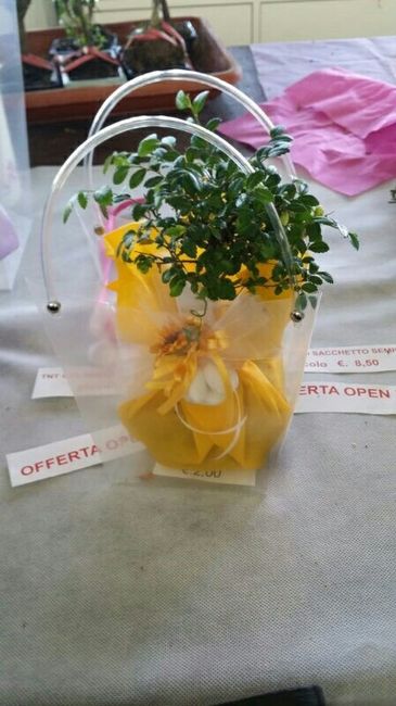 Le vostre foto delle bomboniere bonsai... - 1