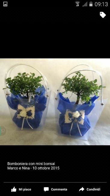 Bomboniere bonsai - 1