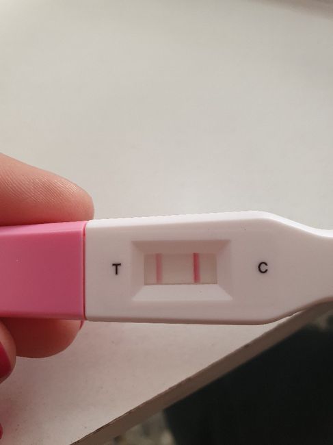 Test di gravidanza 2