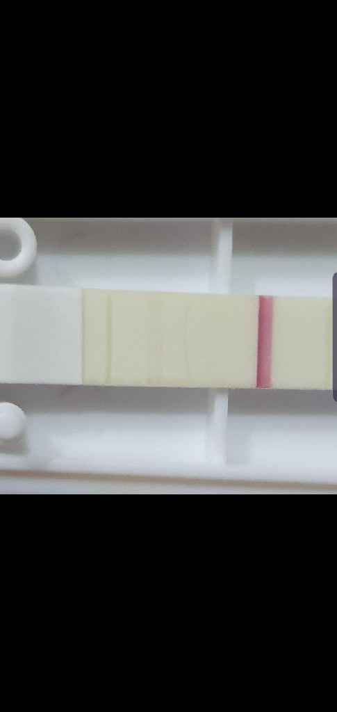 Test di gravidanza - 1