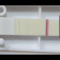 Test di gravidanza - 1