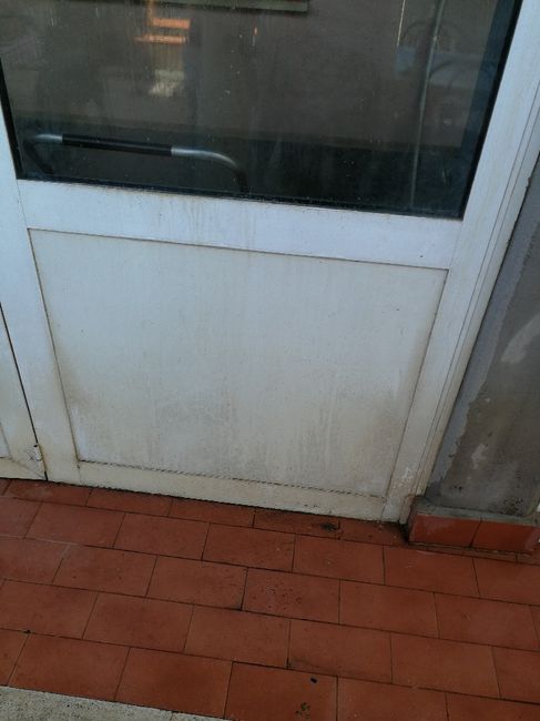  Tende nuove e pulizie - 4