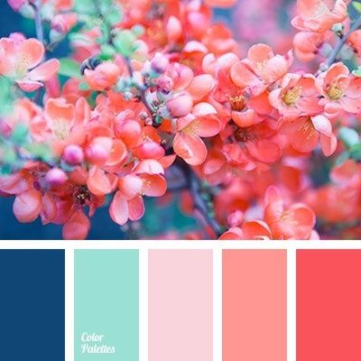 Colori estivi