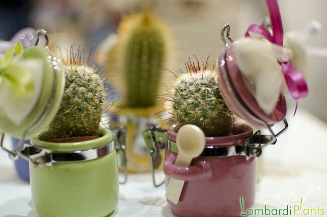 Segnaposti diversi dal solito - 7